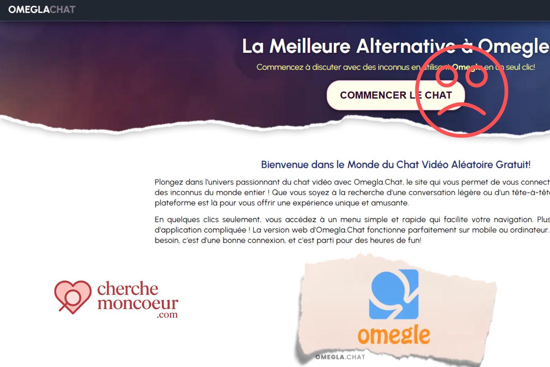 Omegla.chat : Le digne héritier d'Omegle ou un piège à carte bleue ? 7 omeglachat Arnaque