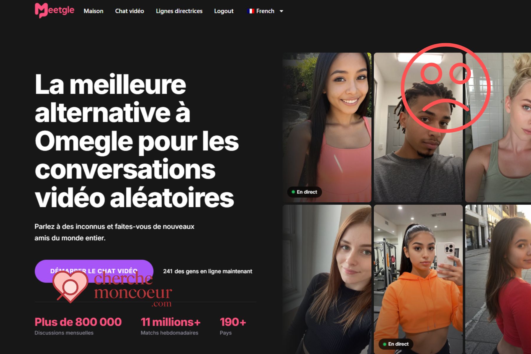 Meetgle démasqué : Le "nouvel Omegle" qui cache une roulette d'exhibitionnistes et un piège à clics 7 meetgle Arnaque